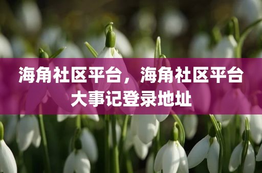 海角社区平台，海角社区平台大事记登录地址