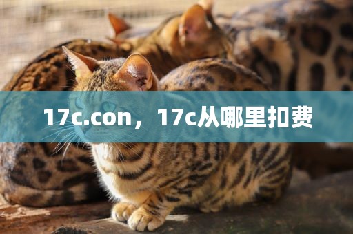 17c.con，17c从哪里扣费