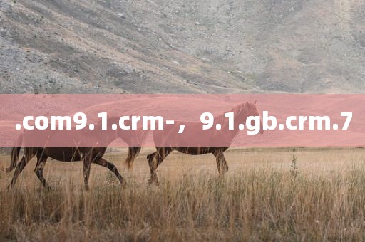 .com9.1.crm-，9.1.gb.crm.7