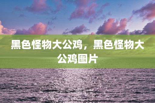 黑色怪物大公鸡，黑色怪物大公鸡图片