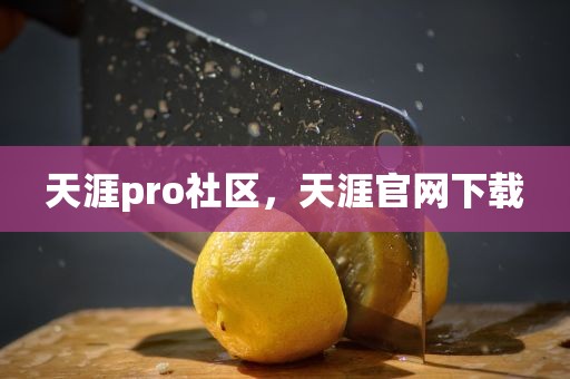 天涯pro社区，天涯官网下载