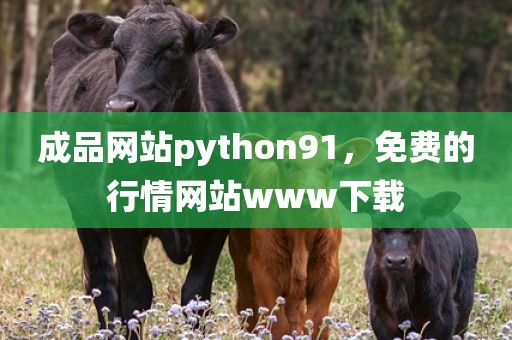 成品网站python91，免费的行情网站www下载