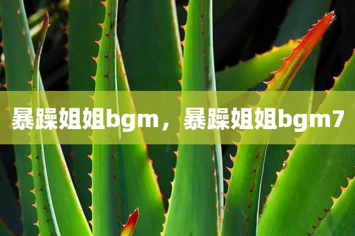 暴躁姐姐bgm，暴躁姐姐bgm7