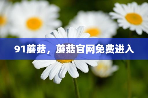 91蘑菇，蘑菇官网免费进入