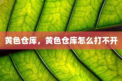 黄色仓库，黄色仓库怎么打不开