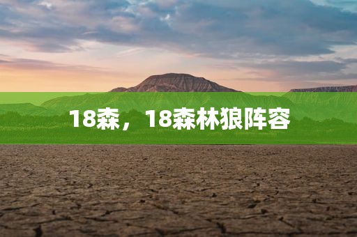 18森，18森林狼阵容