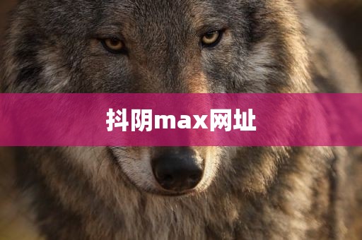 抖阴max网址