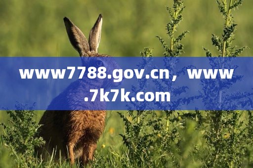 www7788.gov.cn，www.7k7k.com
