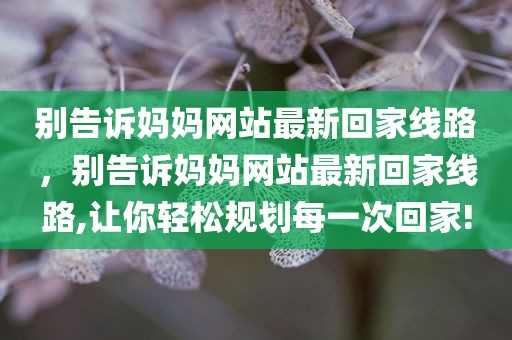 别告诉妈妈网站最新回家线路，别告诉妈妈网站最新回家线路,让你轻松规划每一次回家!