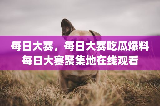 每日大赛，每日大赛吃瓜爆料每日大赛聚集地在线观看