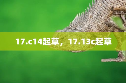 17.c14起草，17.13c起草