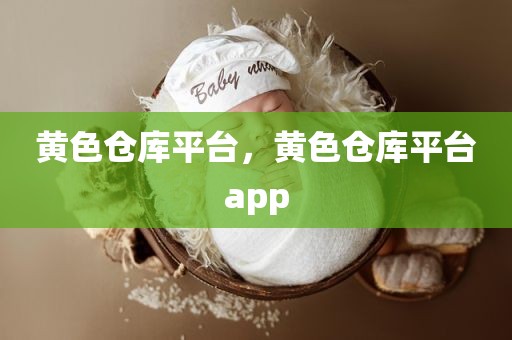 黄色仓库平台，黄色仓库平台app