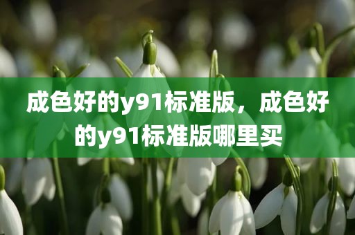 成色好的y91标准版，成色好的y91标准版哪里买