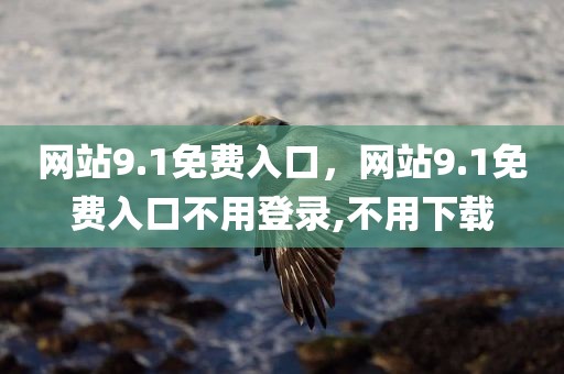 网站9.1免费入口，网站9.1免费入口不用登录,不用下载