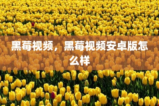 黑莓视频，黑莓视频安卓版怎么样