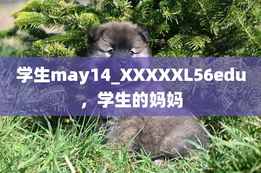 学生may14_XXXXXL56edu，学生的妈妈
