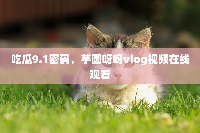 吃瓜9.1密码，芋圆呀呀vlog视频在线观看