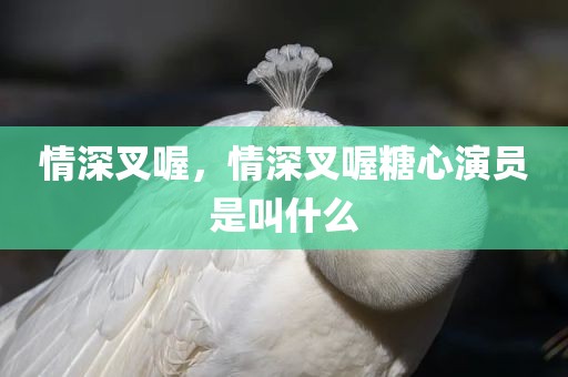 情深叉喔，情深叉喔糖心演员是叫什么
