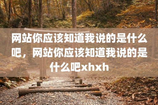 网站你应该知道我说的是什么吧，网站你应该知道我说的是什么吧xhxh