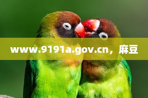 www.9191a.gov.cn，麻豆