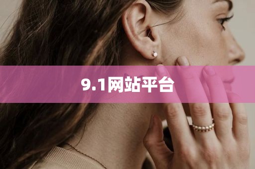 9.1网站平台
