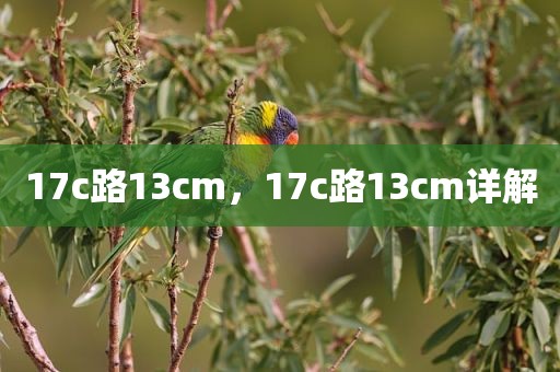 17c路13cm，17c路13cm详解
