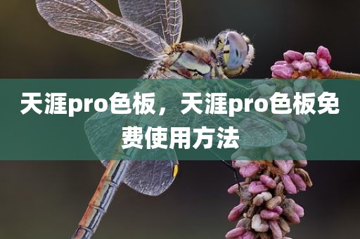 天涯pro色板，天涯pro色板免费使用方法