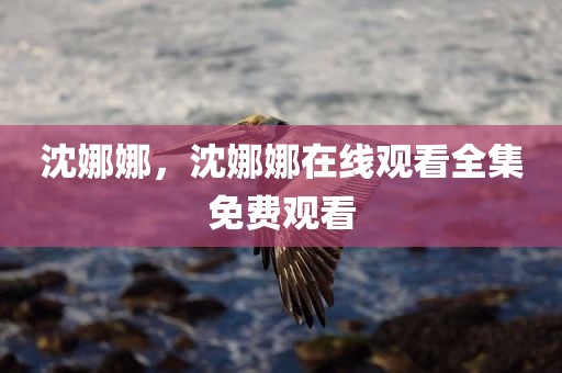 沈娜娜，沈娜娜在线观看全集免费观看