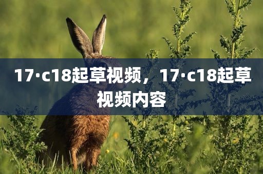 17·c18起草视频，17·c18起草视频内容