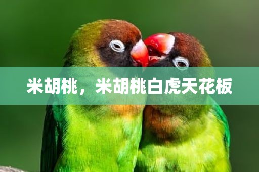 米胡桃，米胡桃白虎天花板