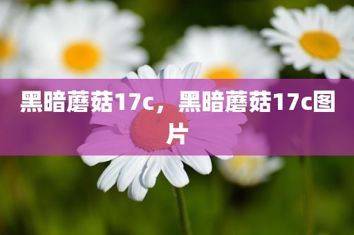 黑暗蘑菇17c，黑暗蘑菇17c图片