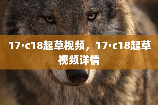 17·c18起草视频，17·c18起草视频详情