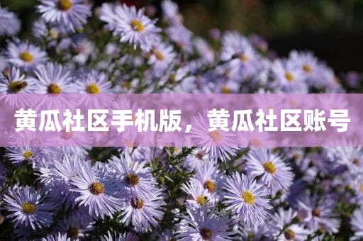 黄瓜社区手机版，黄瓜社区账号