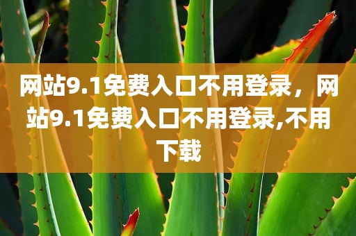 网站9.1免费入口不用登录，网站9.1免费入口不用登录,不用下载
