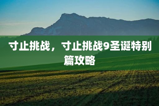 寸止挑战，寸止挑战9圣诞特别篇攻略