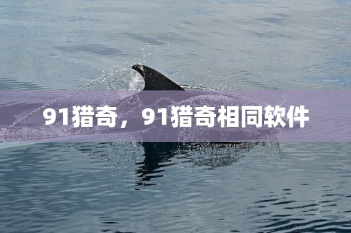 91猎奇，91猎奇相同软件