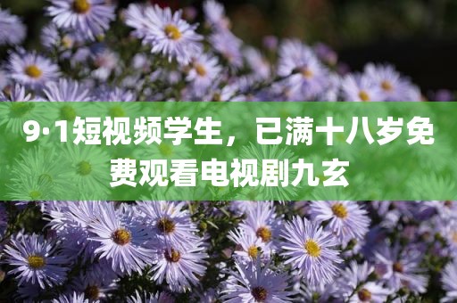 9·1短视频学生，已满十八岁免费观看电视剧九玄