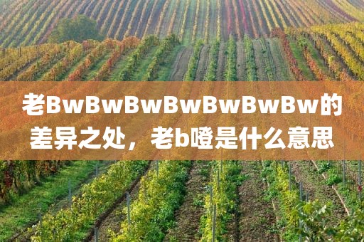 老BwBwBwBwBwBwBw的差异之处，老b噔是什么意思