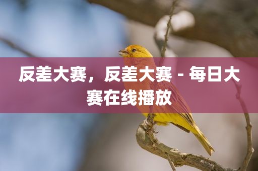 反差大赛，反差大赛 - 每日大赛在线播放