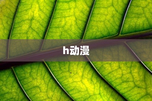 h动漫