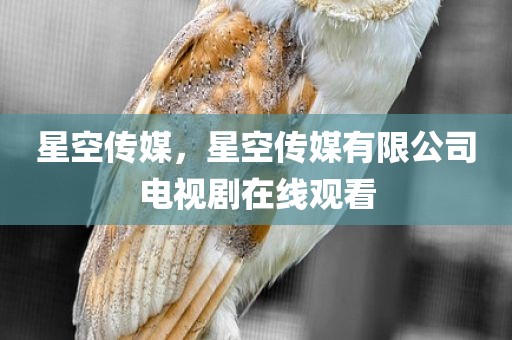 星空传媒，星空传媒有限公司电视剧在线观看