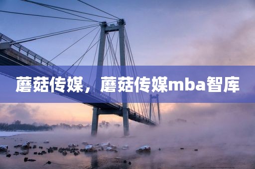 蘑菇传媒，蘑菇传媒mba智库
