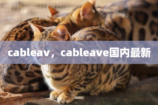 cableav，cableave国内最新