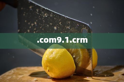 .com9.1.crm