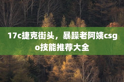 17c捷克街头，暴躁老阿姨csgo技能推荐大全