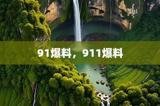 91爆料，911爆料