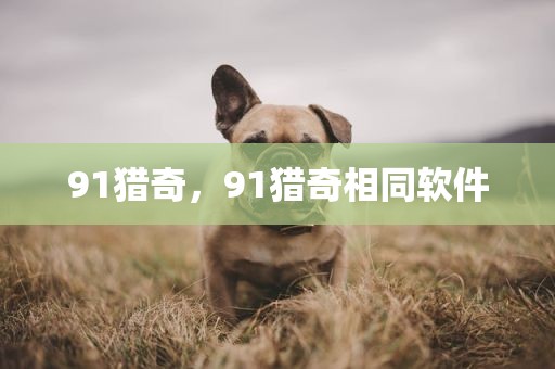 91猎奇，91猎奇相同软件