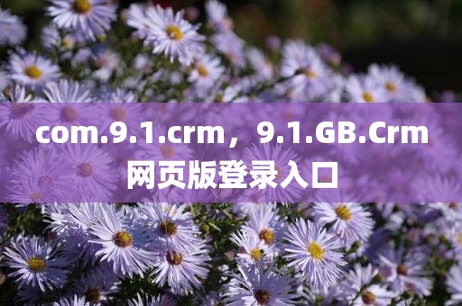 com.9.1.crm，9.1.GB.Crm网页版登录入口