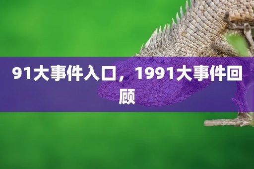 91大事件入口，1991大事件回顾
