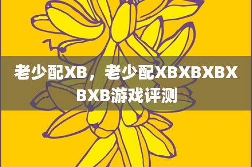 老少配XB，老少配XBXBXBXBXB游戏评测